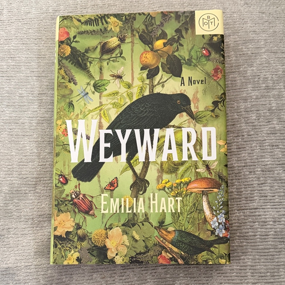 Weyward Novel by Emilia Hart